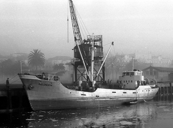 Golondrin por T. Diedrich Golondrin por T. Diedrich